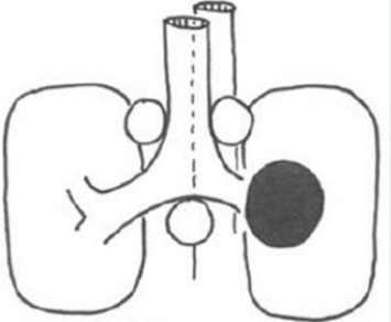 Illustration fra side 2